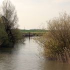 Abend über der Elbe