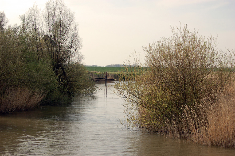 Abend über der Elbe von AlexandraG 