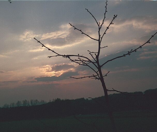 Abend über der Hochebene