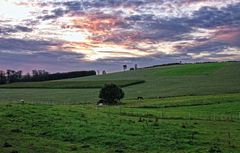 Abend über der Pferdekoppel