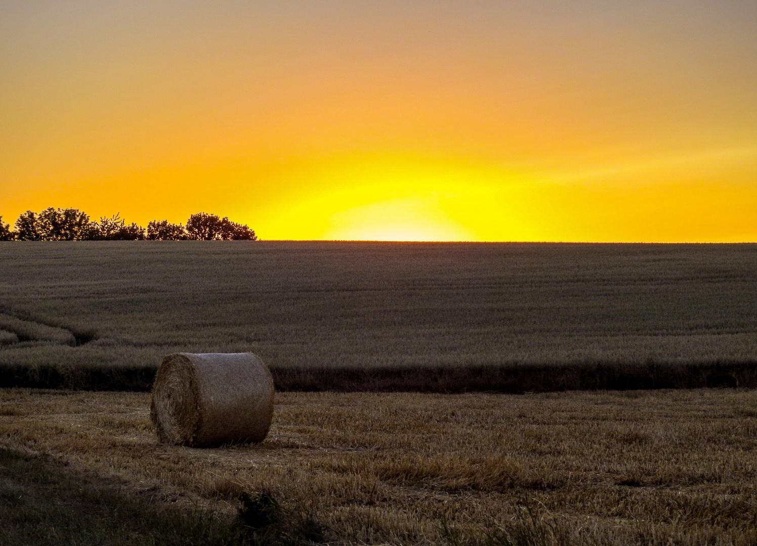 Abend überm Kornfeld...