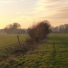 Abend überm Niederrhein