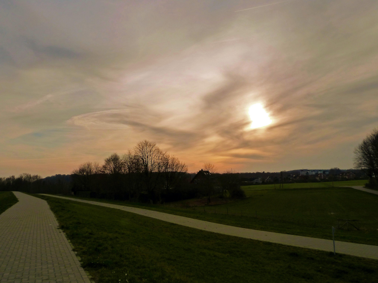 Abend überm Rheindamm