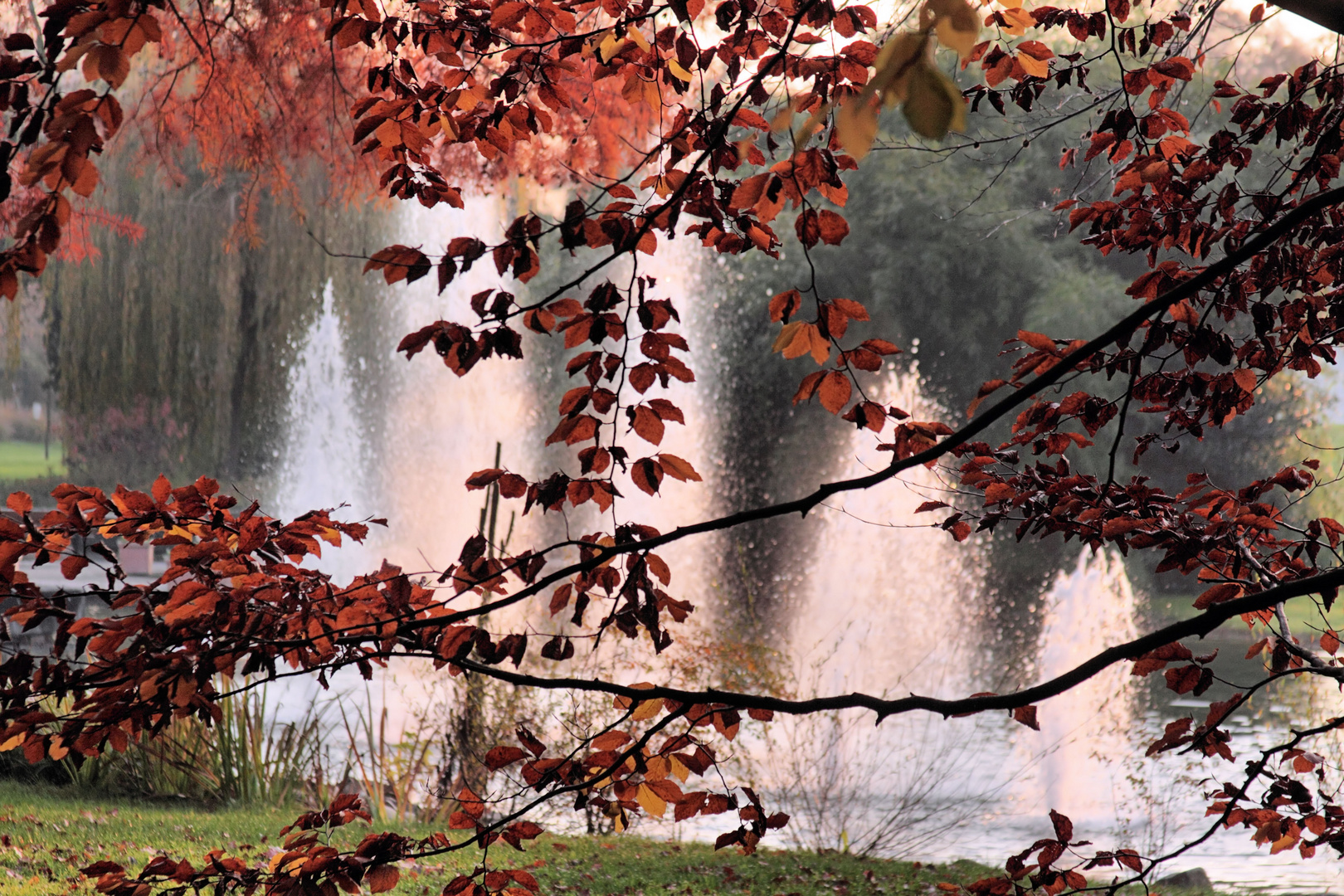 Abend- und Herbststimmung im Kurpark zu Bad Bellingen