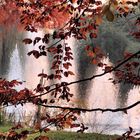 Abend- und Herbststimmung im Kurpark zu Bad Bellingen