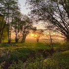 Abend unter den Weiden