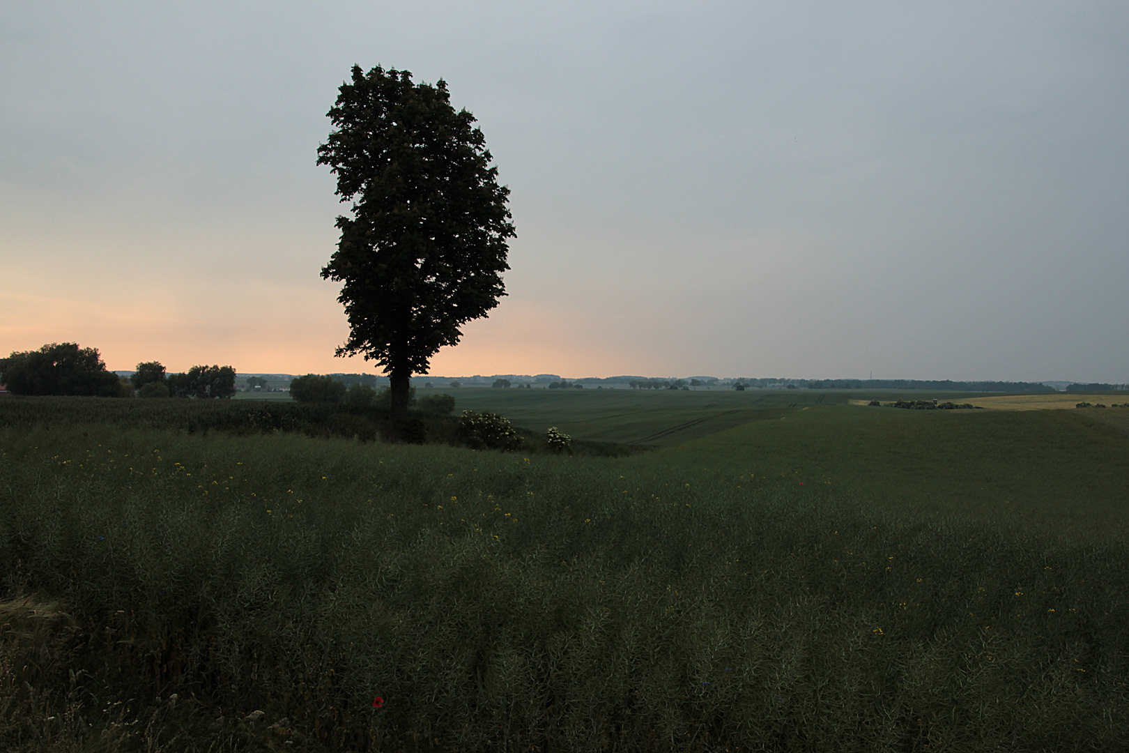 Abend wird es wieder (Landschaft in der Kaschubei 4)