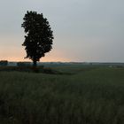 Abend wird es wieder (Landschaft in der Kaschubei 4)