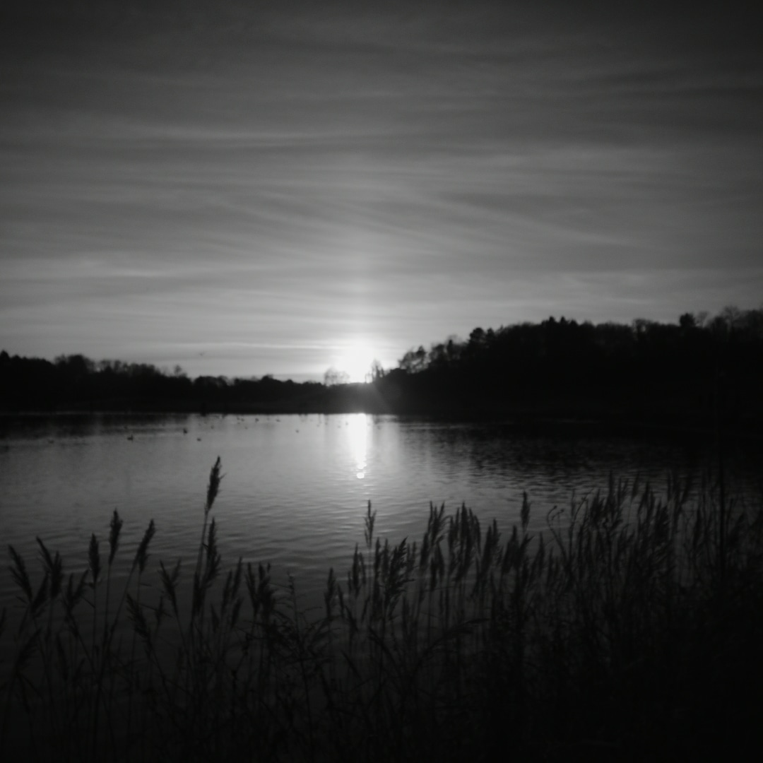 Abendämmerung -Parc Départemental de la Courneuve Georges Valbon