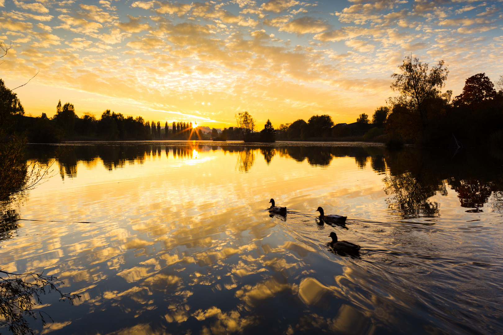 Abendausflug