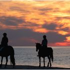 Abendausritt am Strand