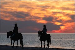 Abendausritt am Strand