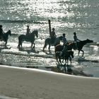 Abendausritt am Strand von Domburg