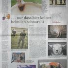 abendblatt: übersicht