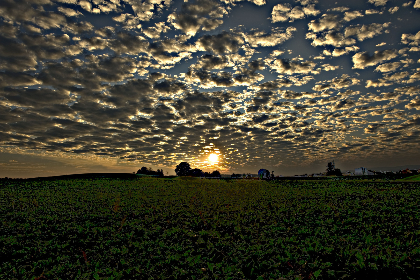 Abendblick