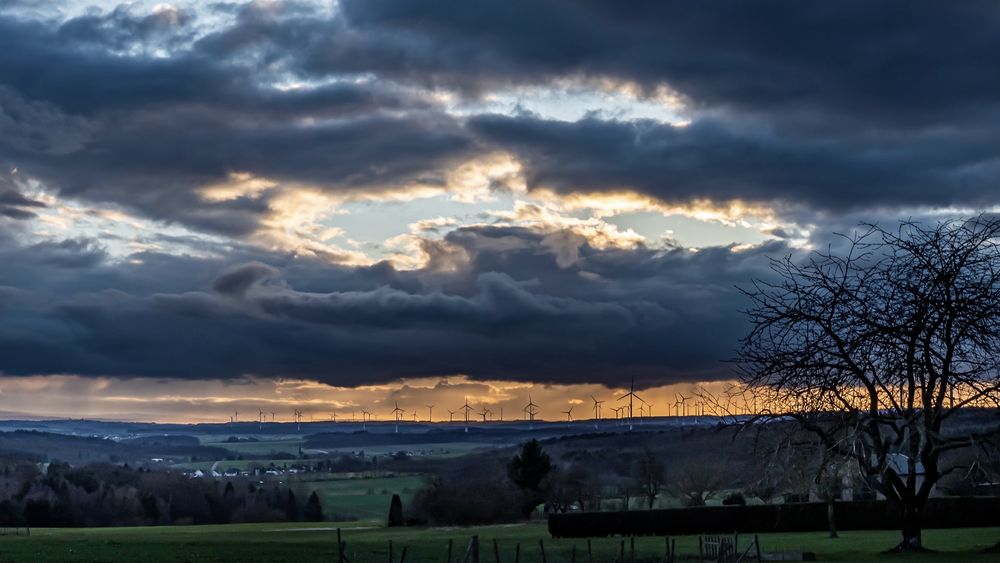 Abendblick