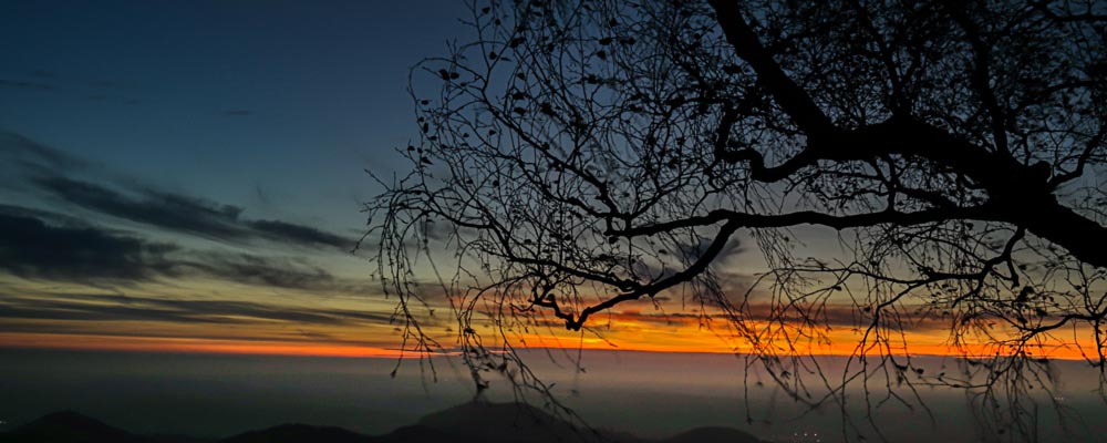 Abendblick