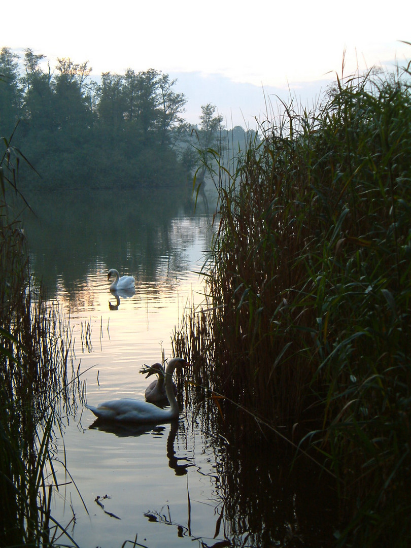 Abendbrot am See