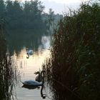 Abendbrot am See