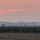 Abendbrot beim Abendrot