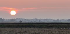 Abendbrot beim Abendrot