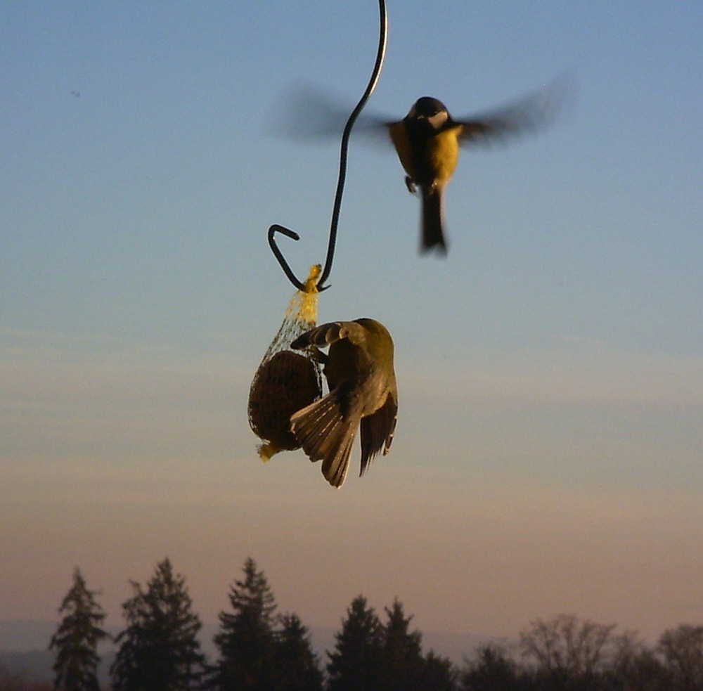 Abendbrot im Abendrot