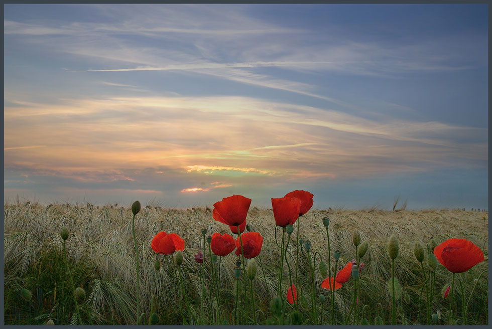 Abendbrotpicknick?