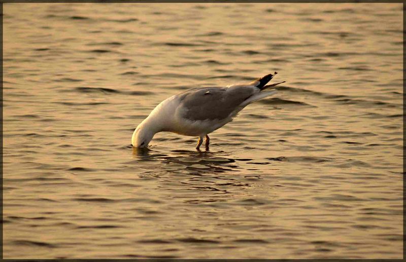 Abendbrotzeit