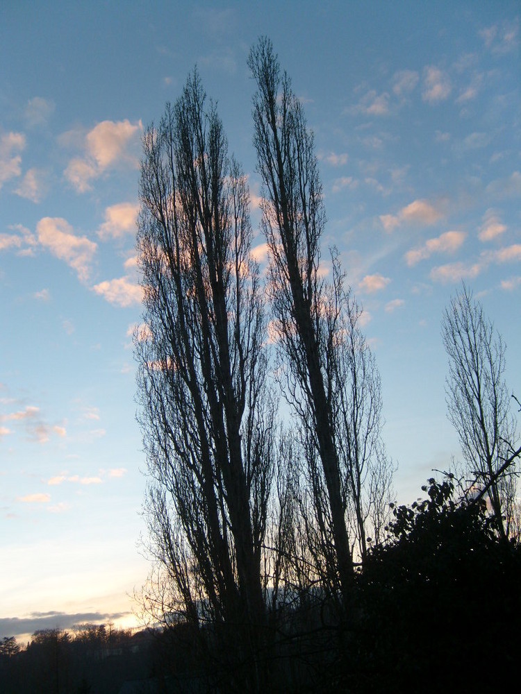 Abenddämmerung