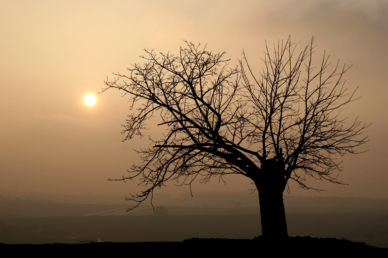 Abenddämmerung