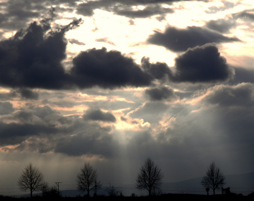 Abenddämmerung 1