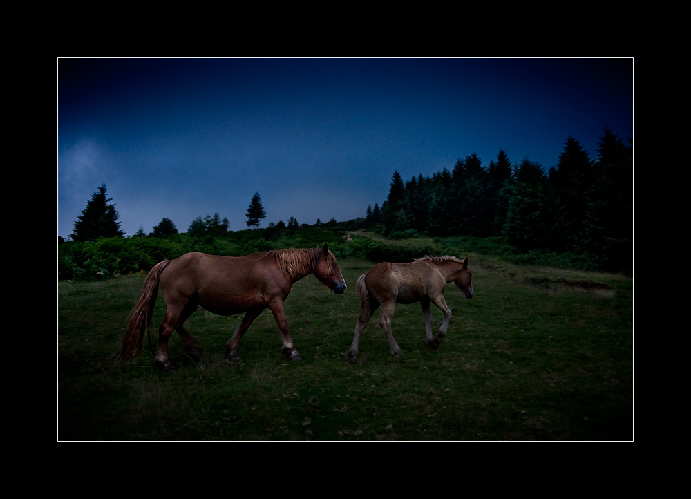 Abenddämmerung