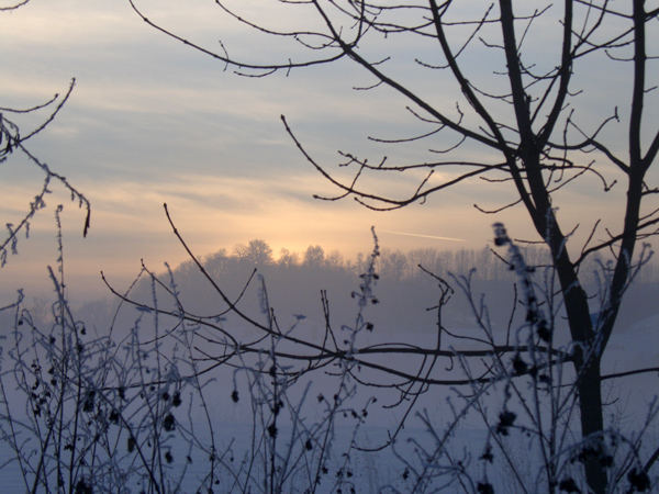 Abenddämmerung