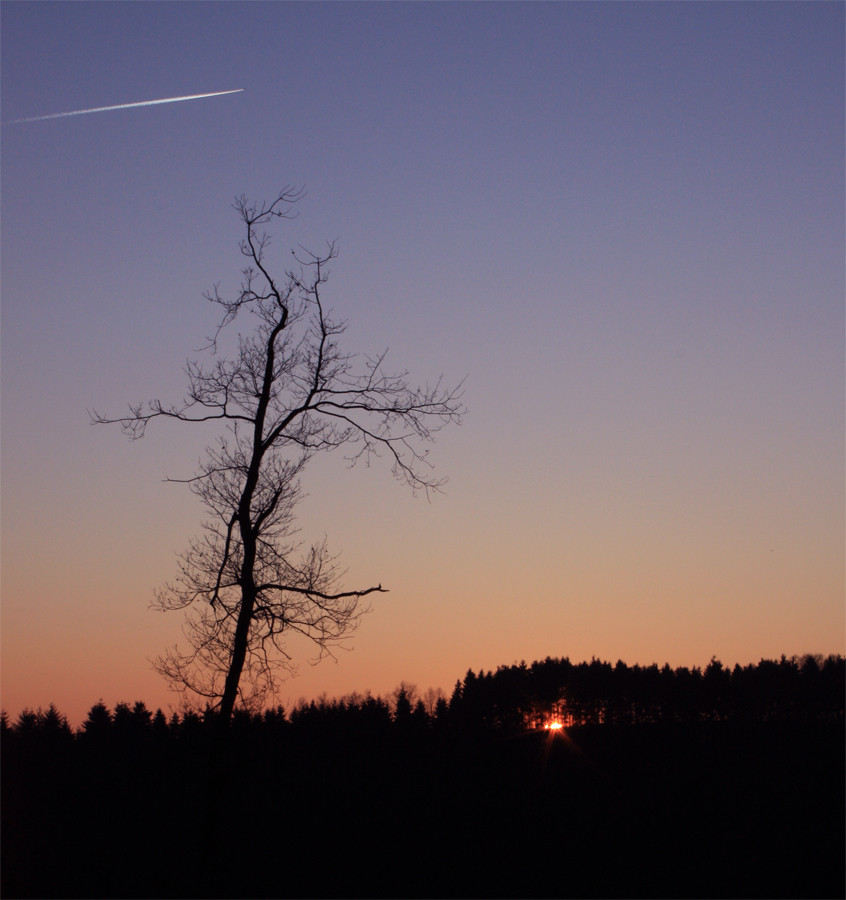 Abenddämmerung