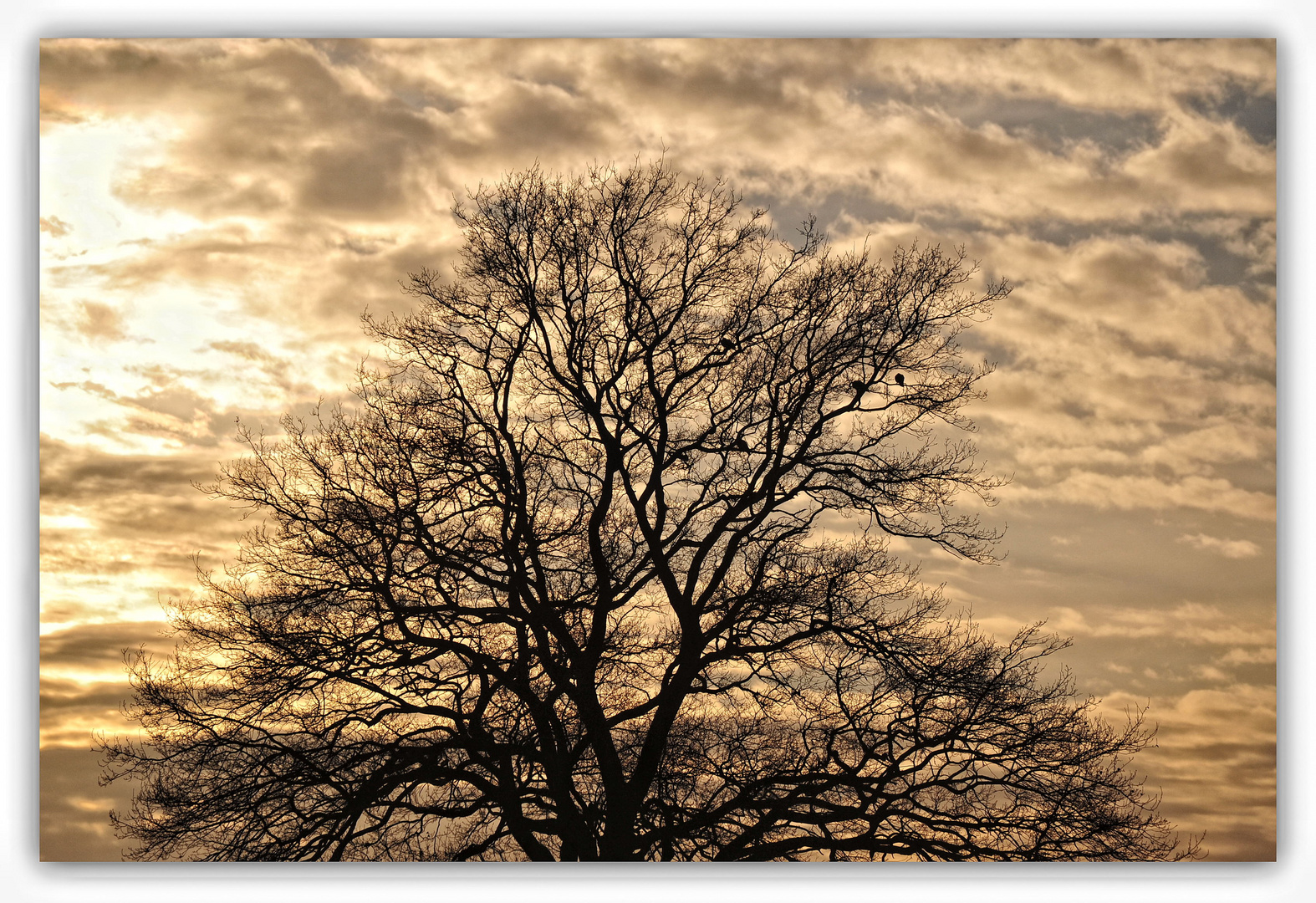 Abenddämmerung