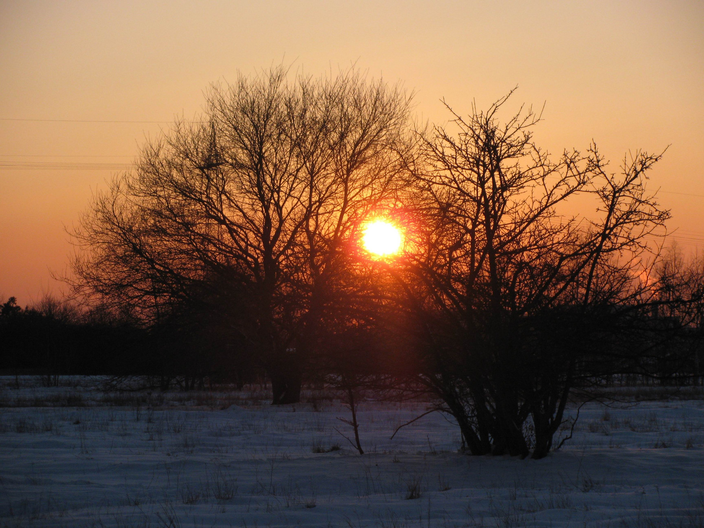 Abenddämmerung