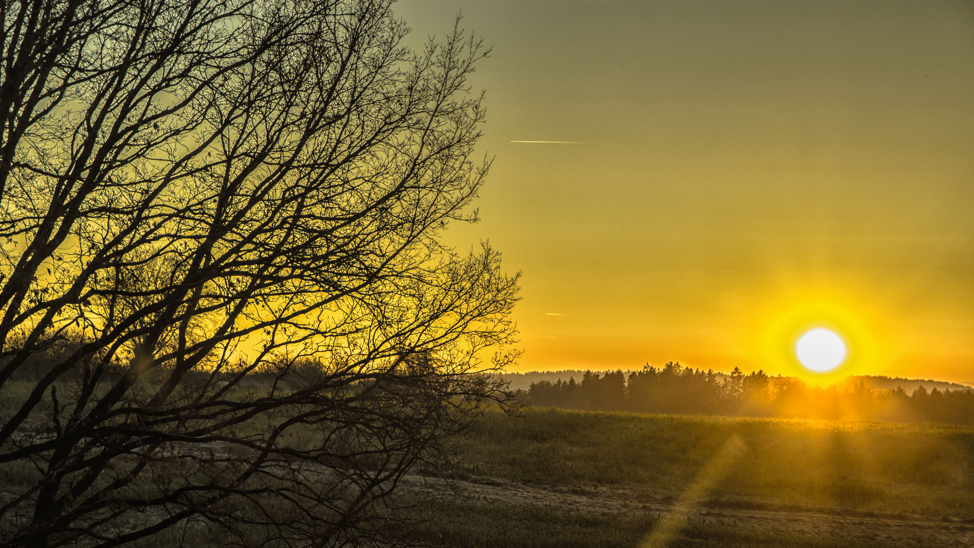 Abenddämmerung