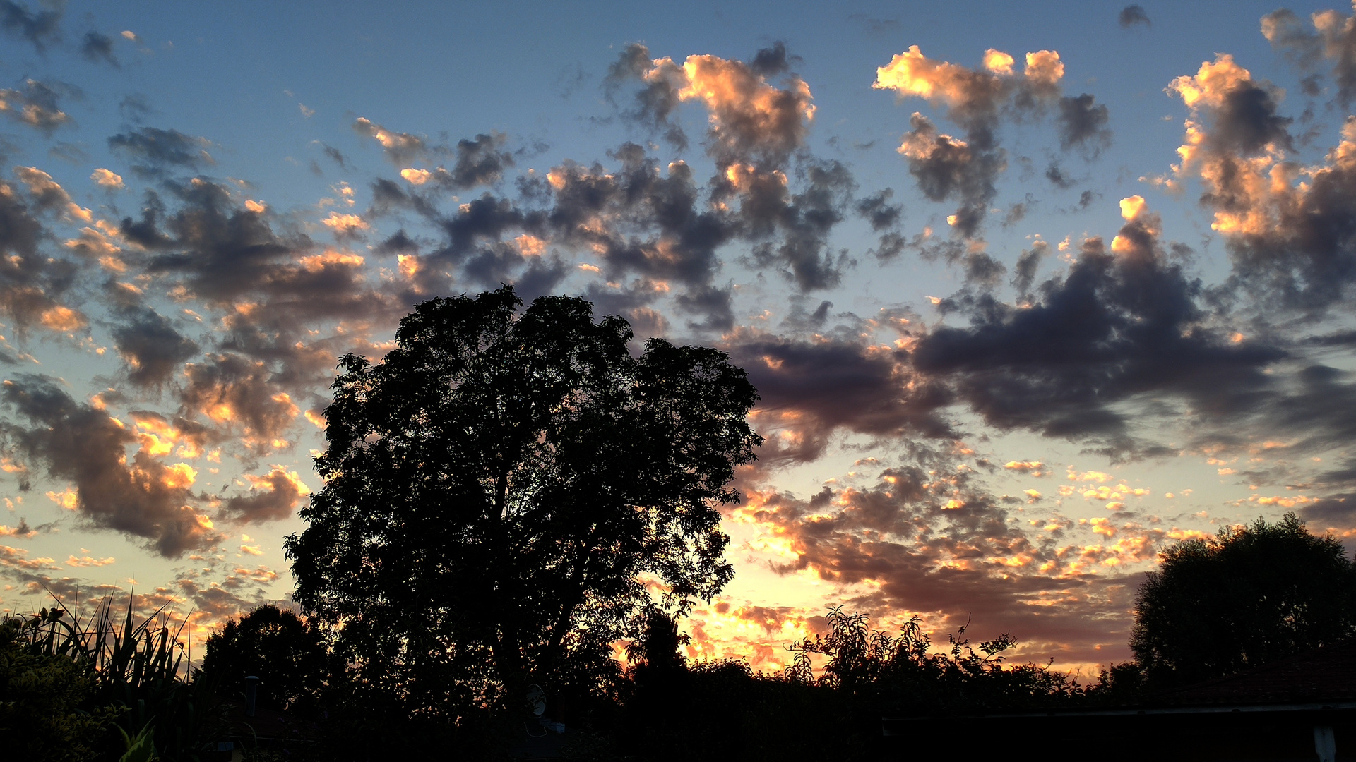 Abenddämmerung