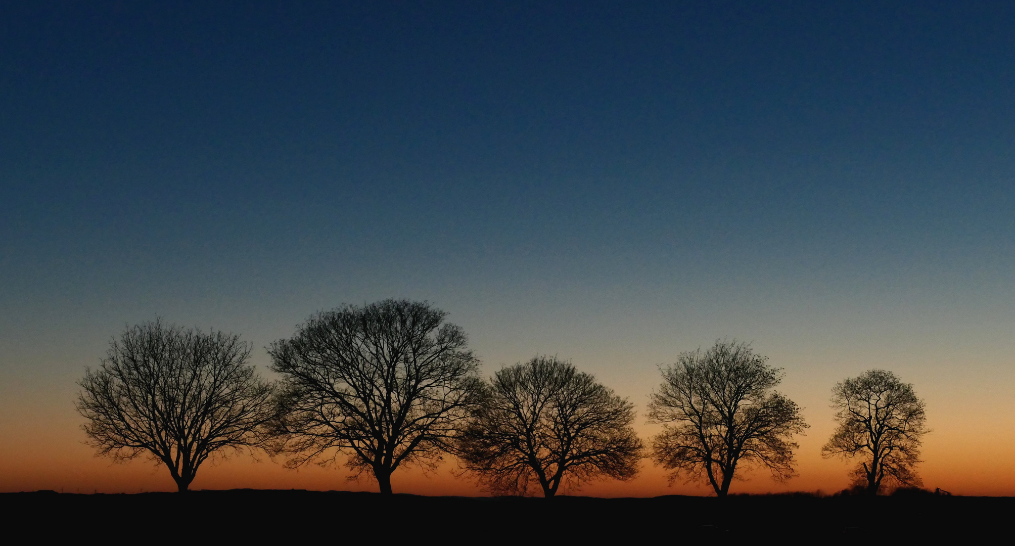 Abenddämmerung