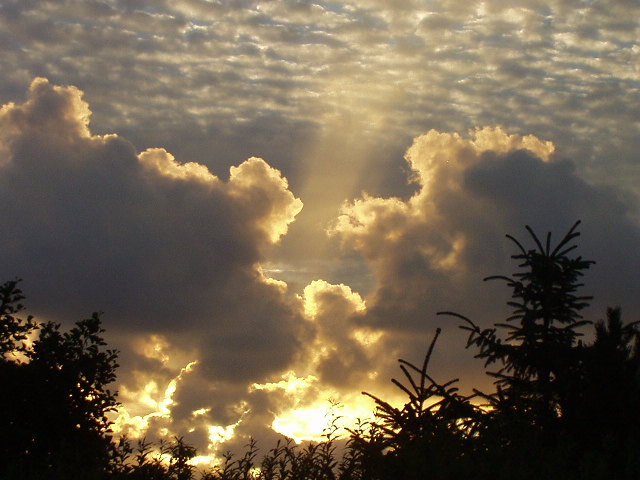 Abenddämmerung