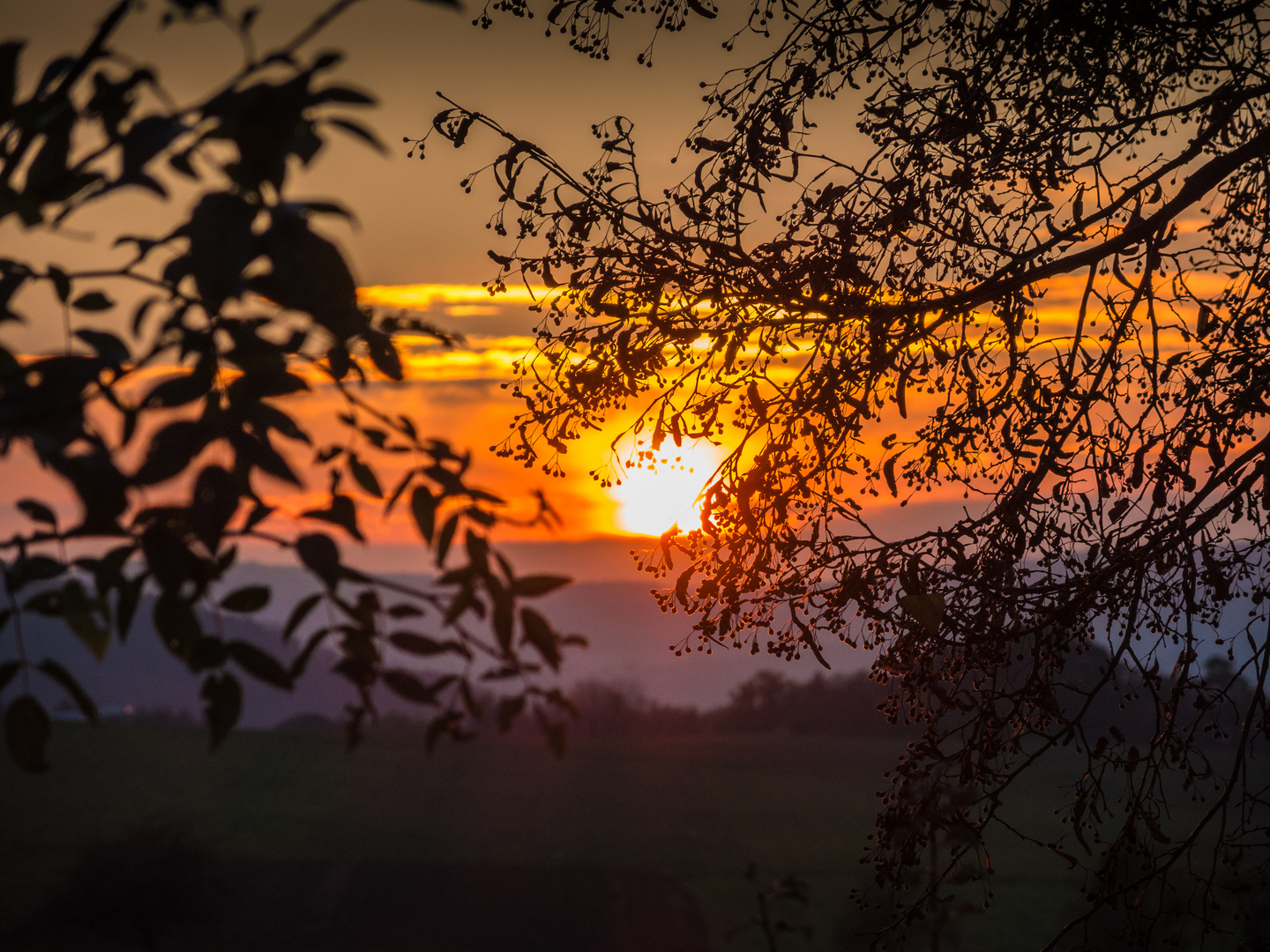 Abenddämmerung