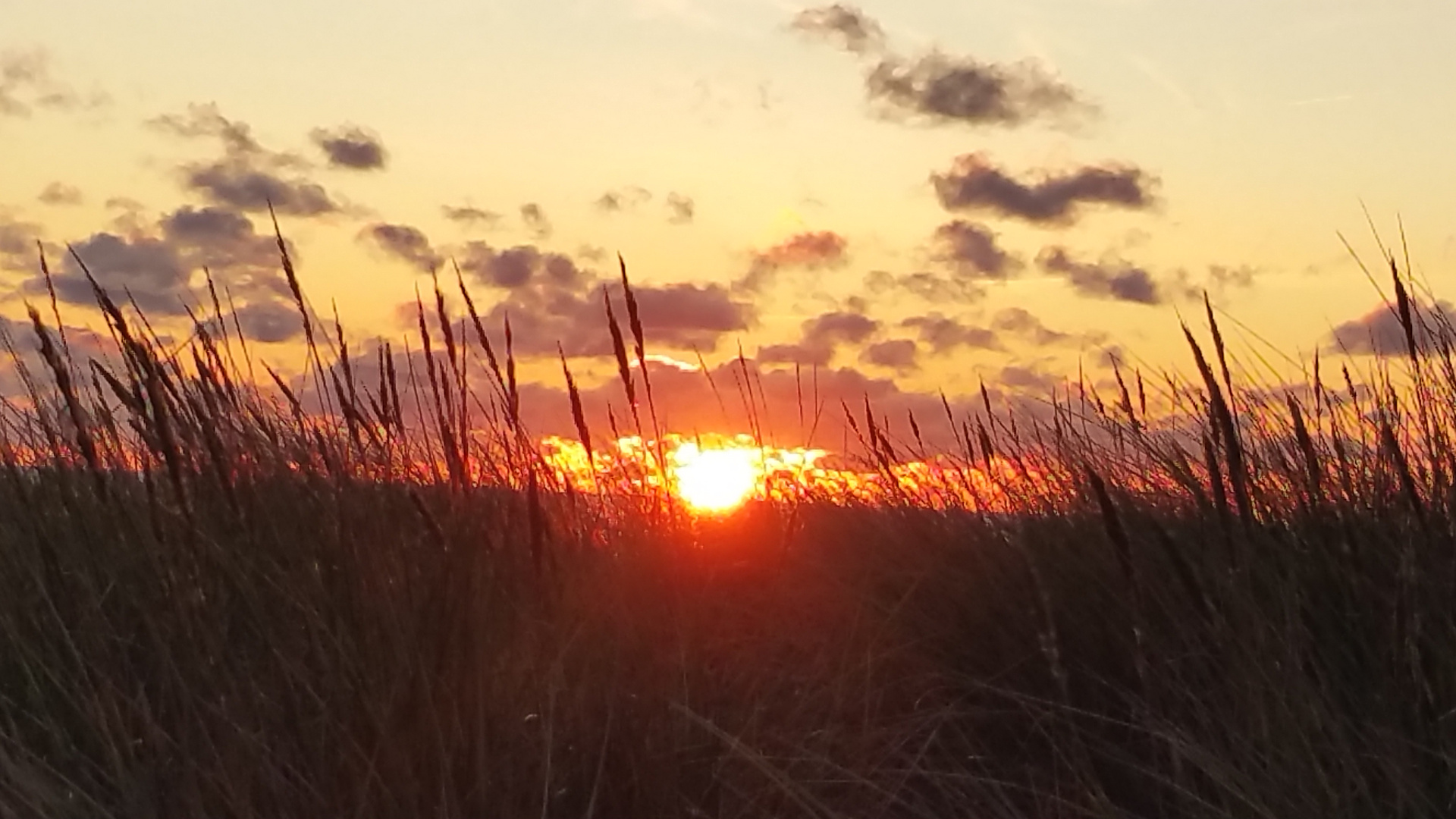 Abenddämmerung 