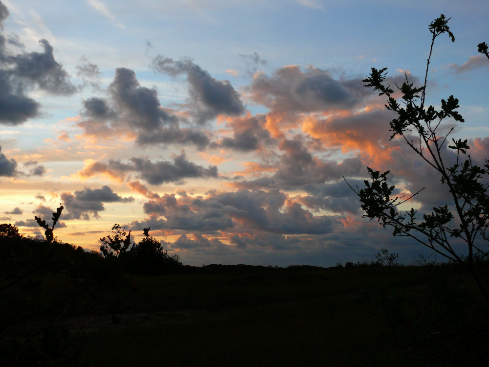 Abenddämmerung