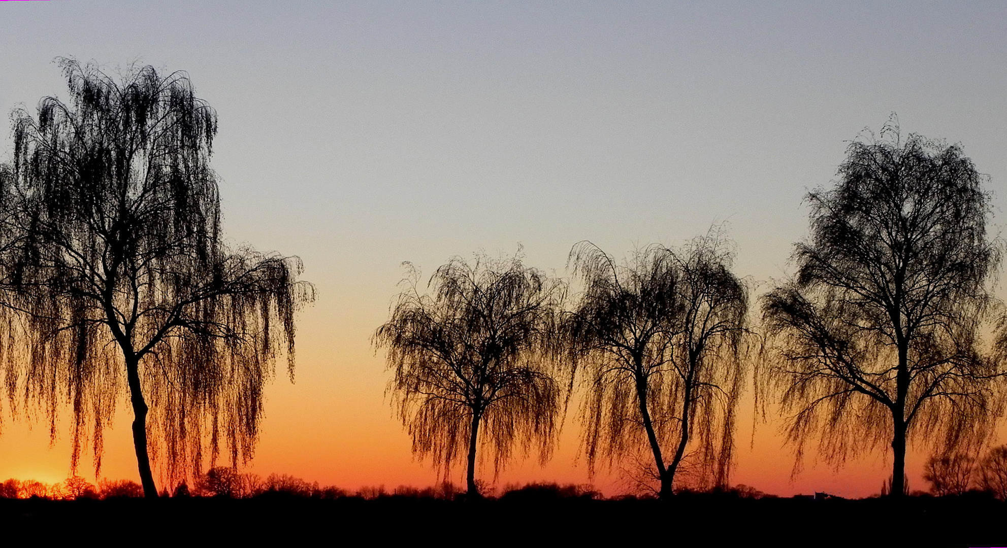 Abenddämmerung