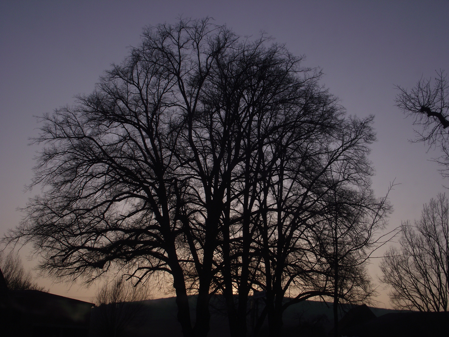 Abenddämmerung