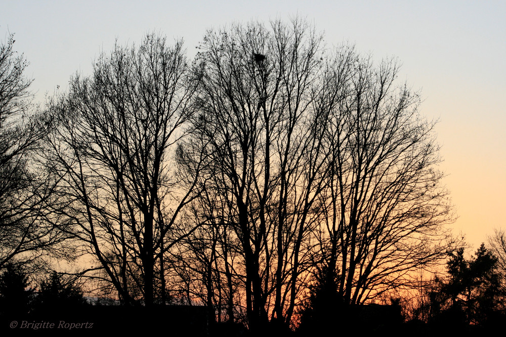 Abenddämmerung