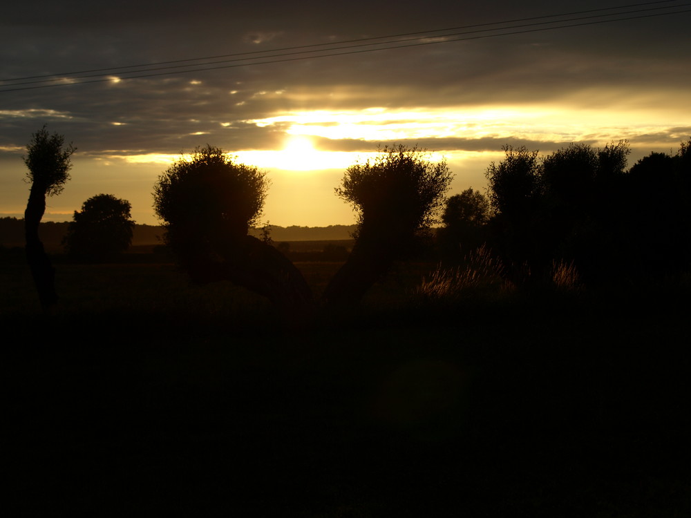 Abenddämmerung