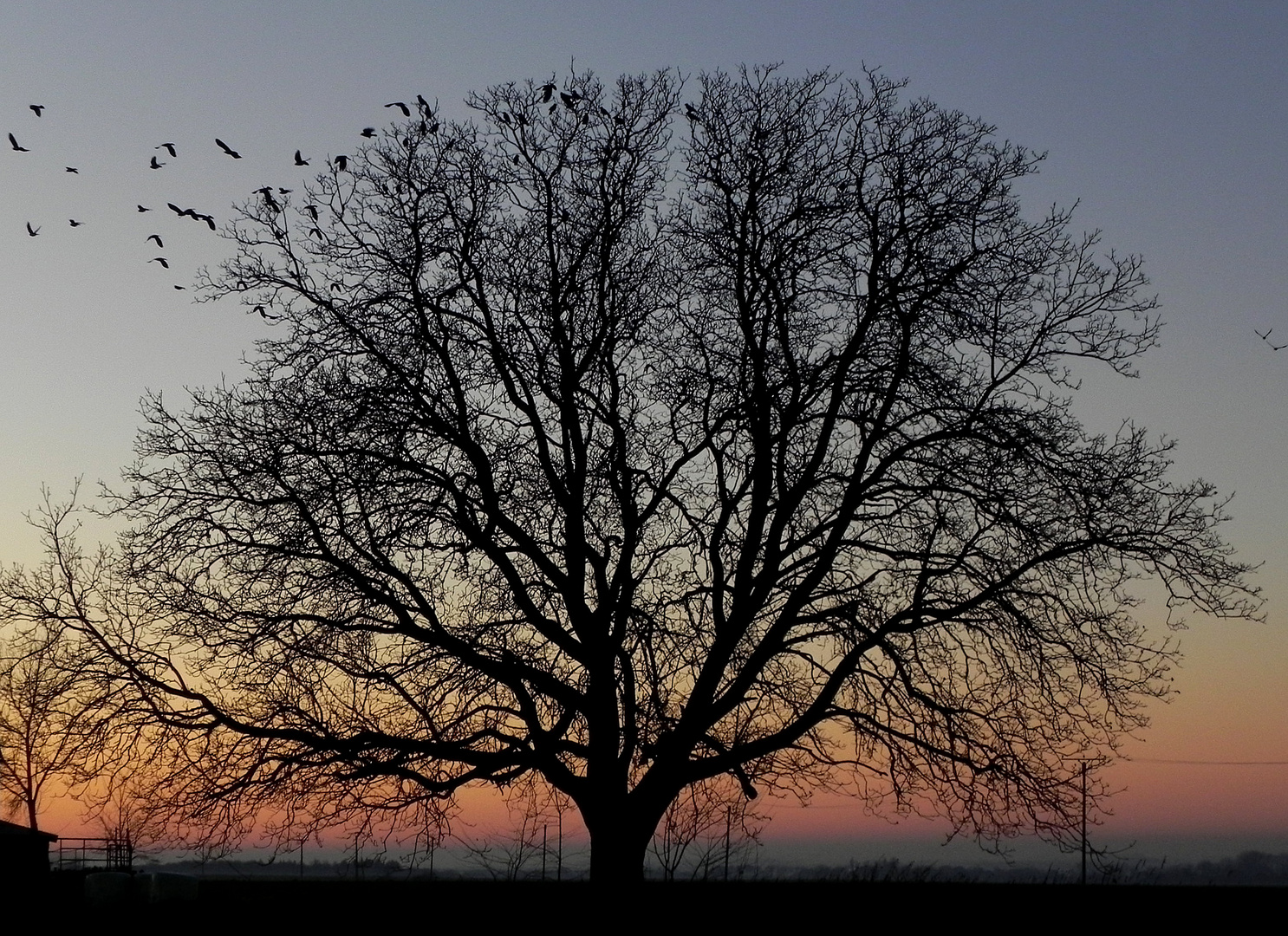 Abenddämmerung