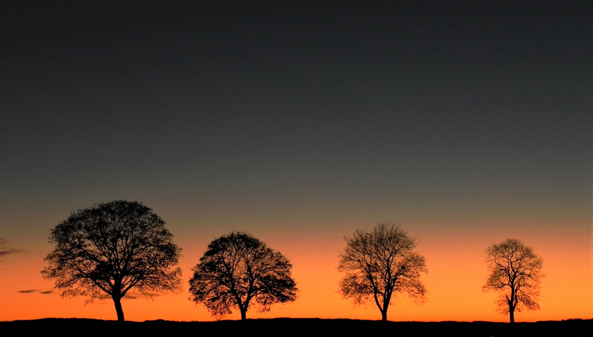 Abenddämmerung