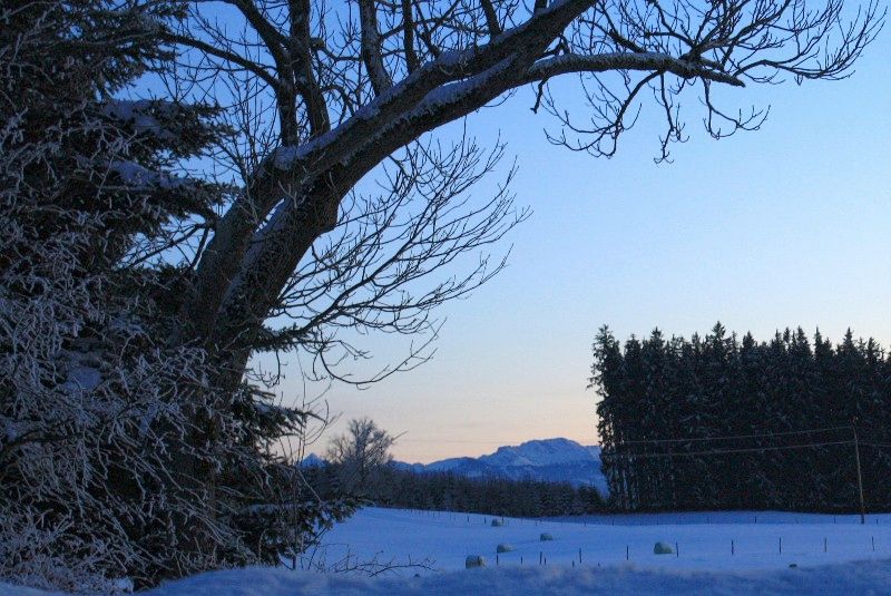 Abenddämmerung